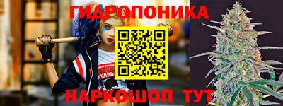 крисы Добрянка